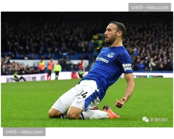 太妃糖主场氛围优势明显 古迪逊公园成难攻克堡垒